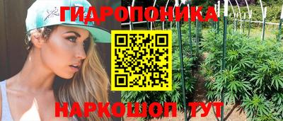 spice Усть-Илимск